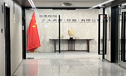 专业版流程图