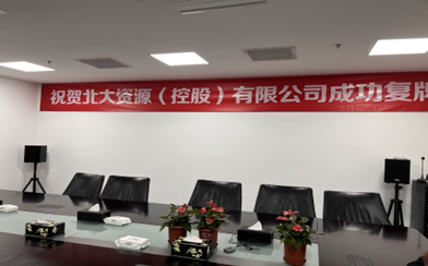 专业版流程图